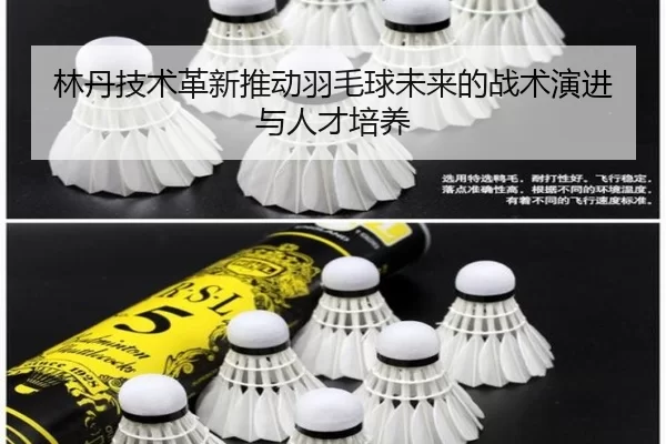 林丹技术革新推动羽毛球未来的战术演进与人才培养